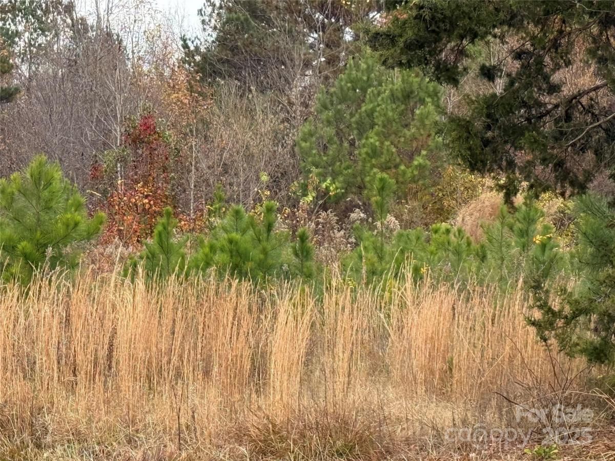 MLS #CAR4325529 image #0