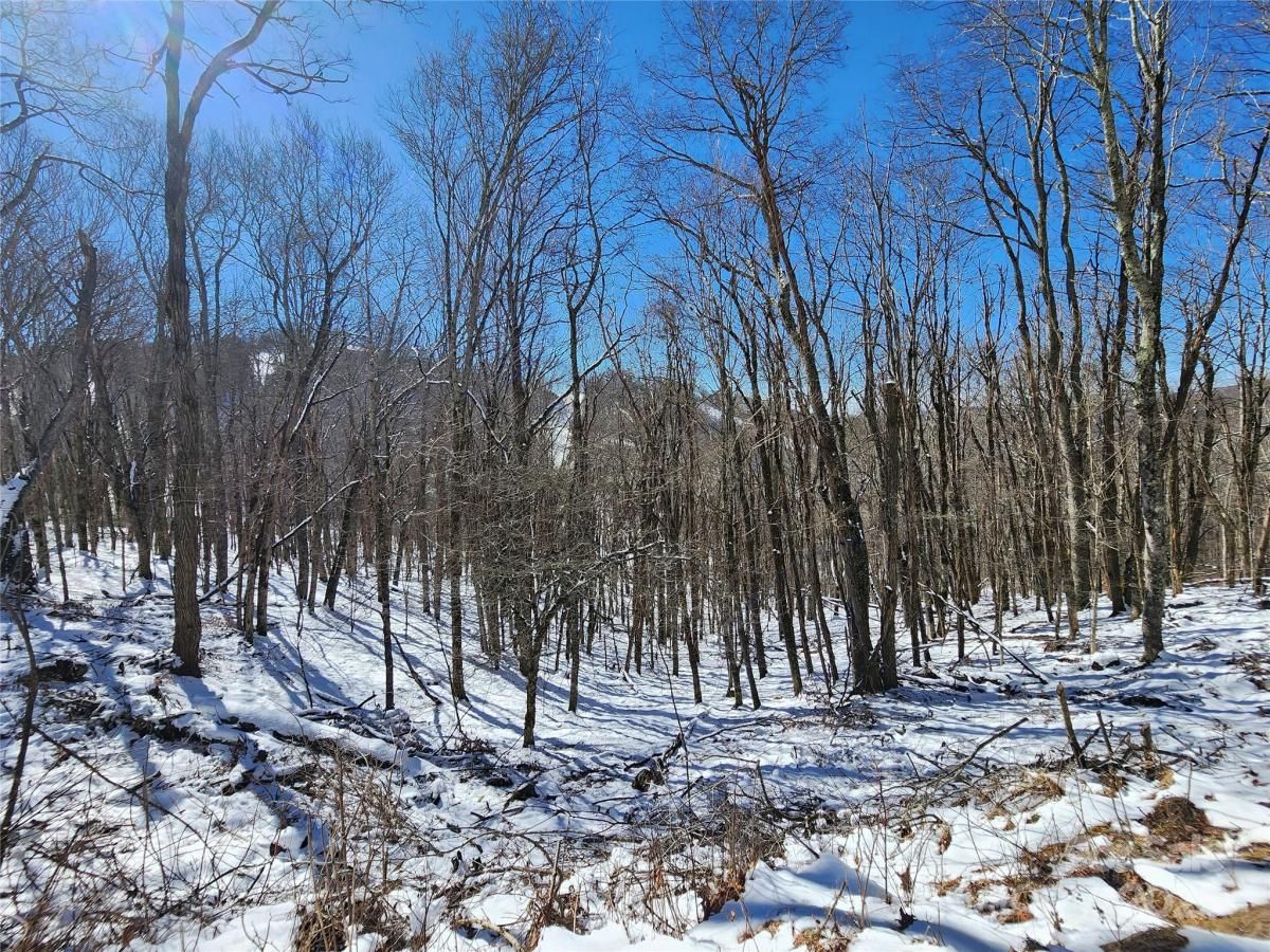 MLS #CAR4325547 image #0