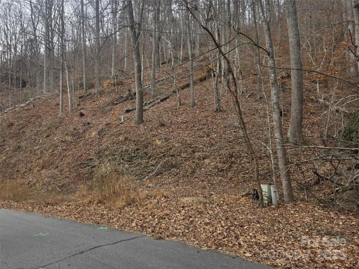 MLS #CAR4326650 image #0