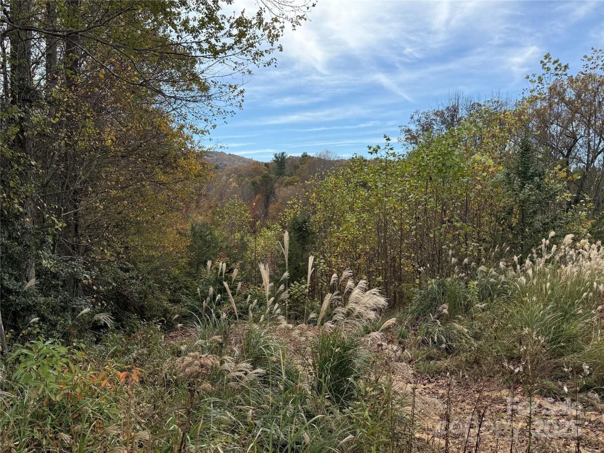 MLS #CAR4326770 image #0