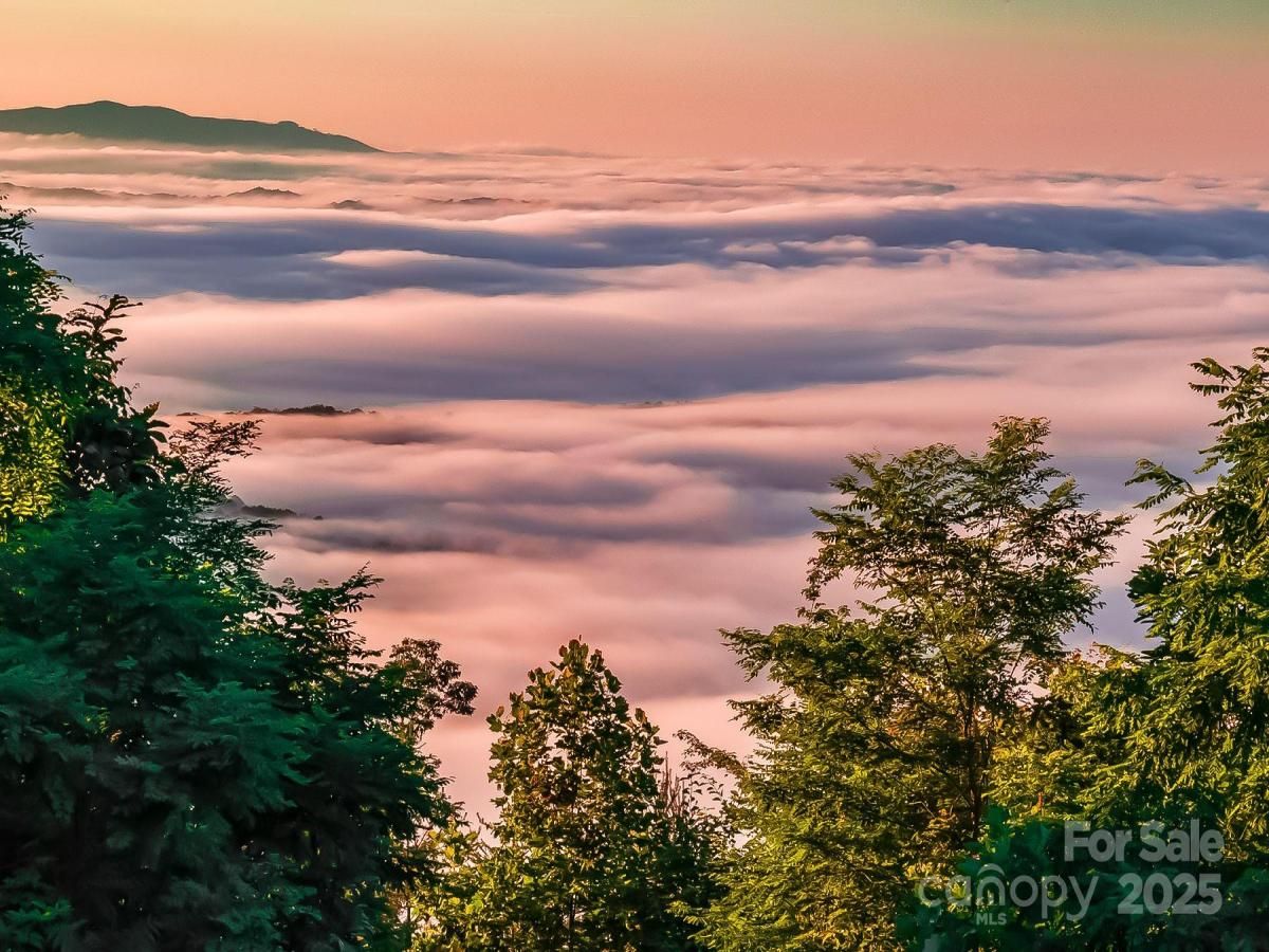 MLS #CAR4327397 image #0