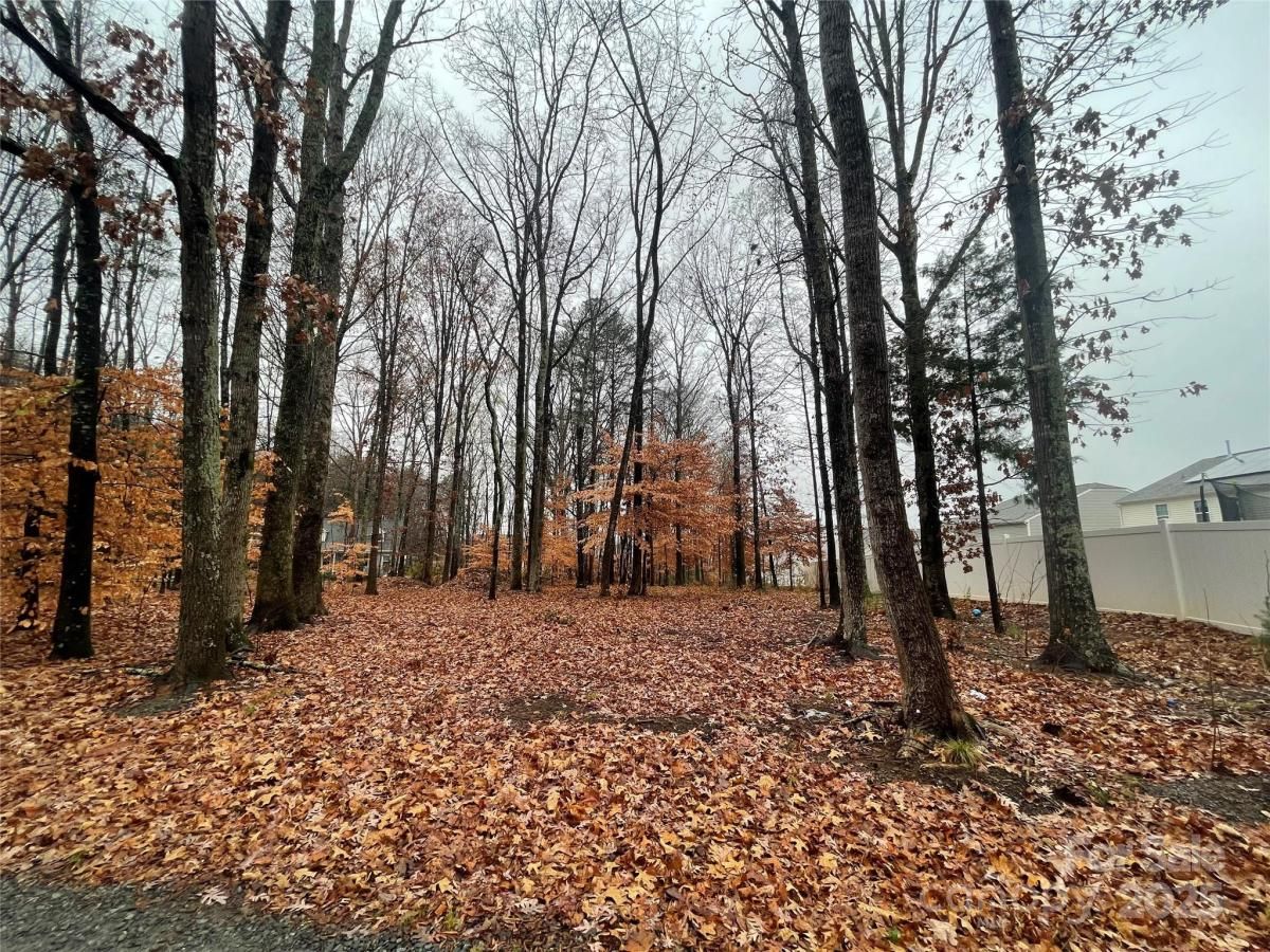 MLS #CAR4328502 image #0