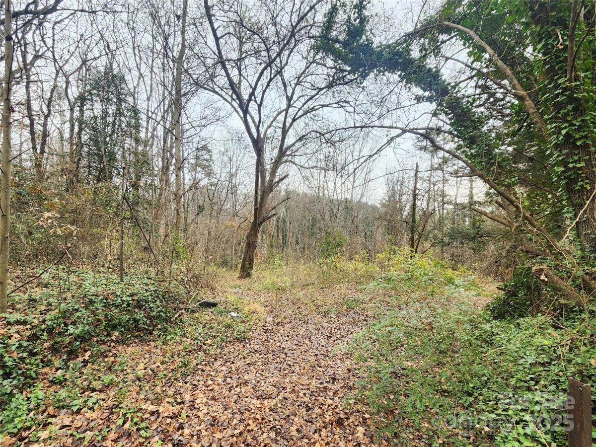 MLS #CAR4328569 image #0