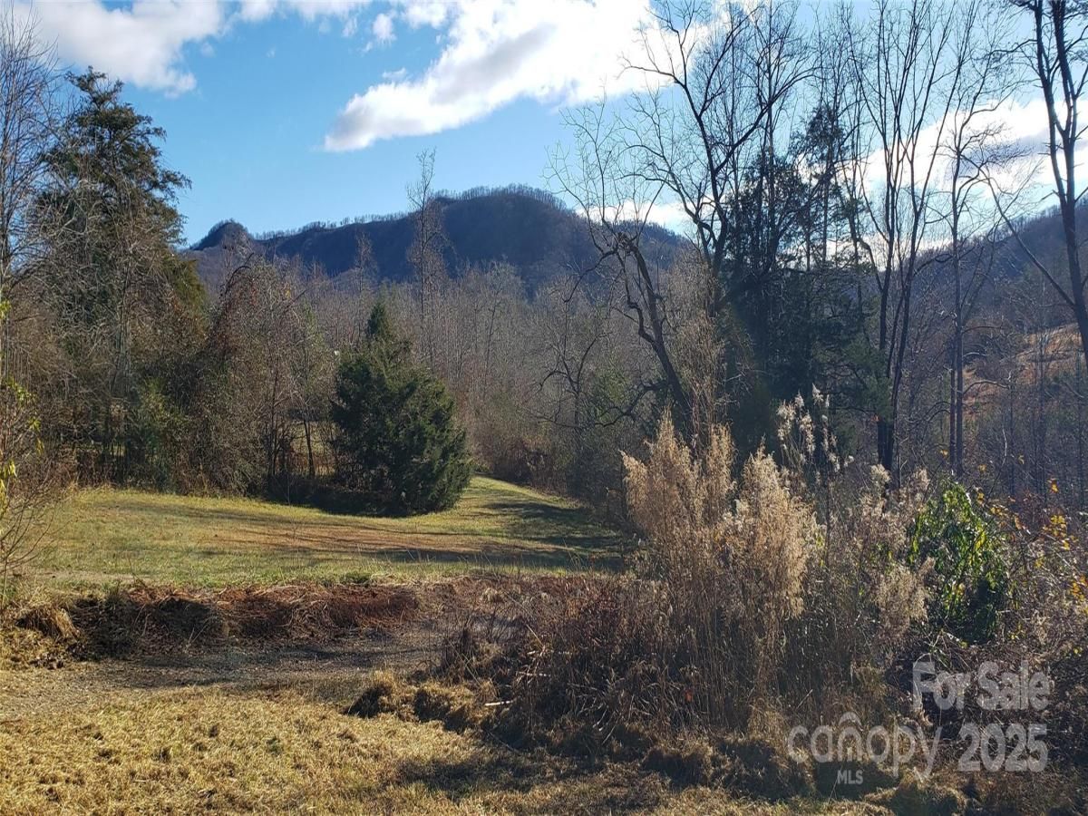 MLS #CAR4328921 image #0