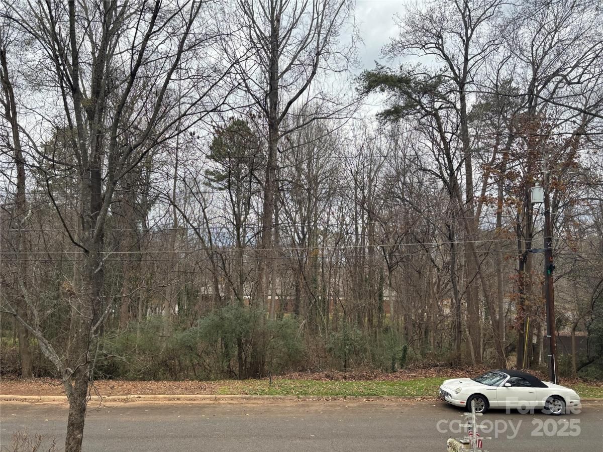 MLS #CAR4329249 image #0