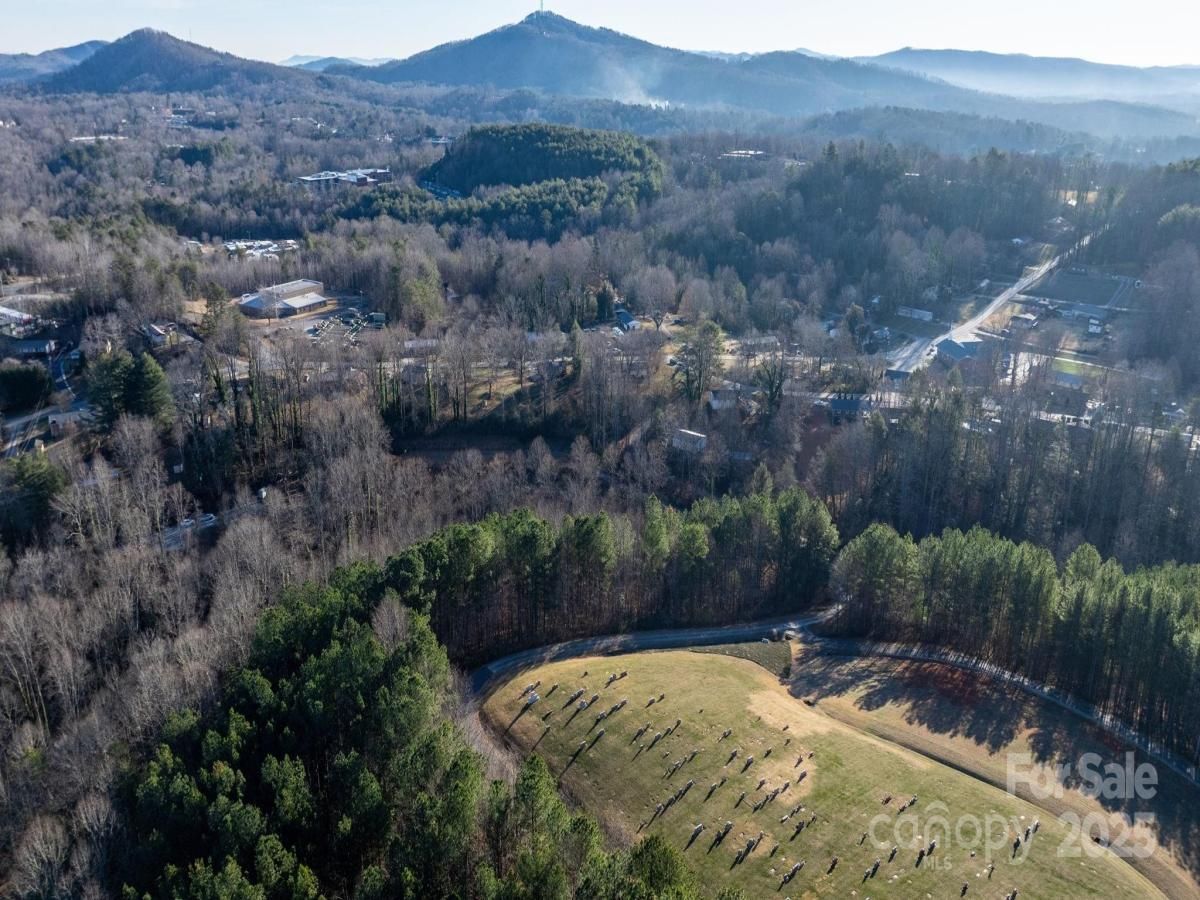 MLS #CAR4329855 image #0