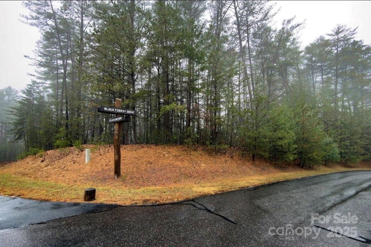 MLS #CAR4330680 image #0