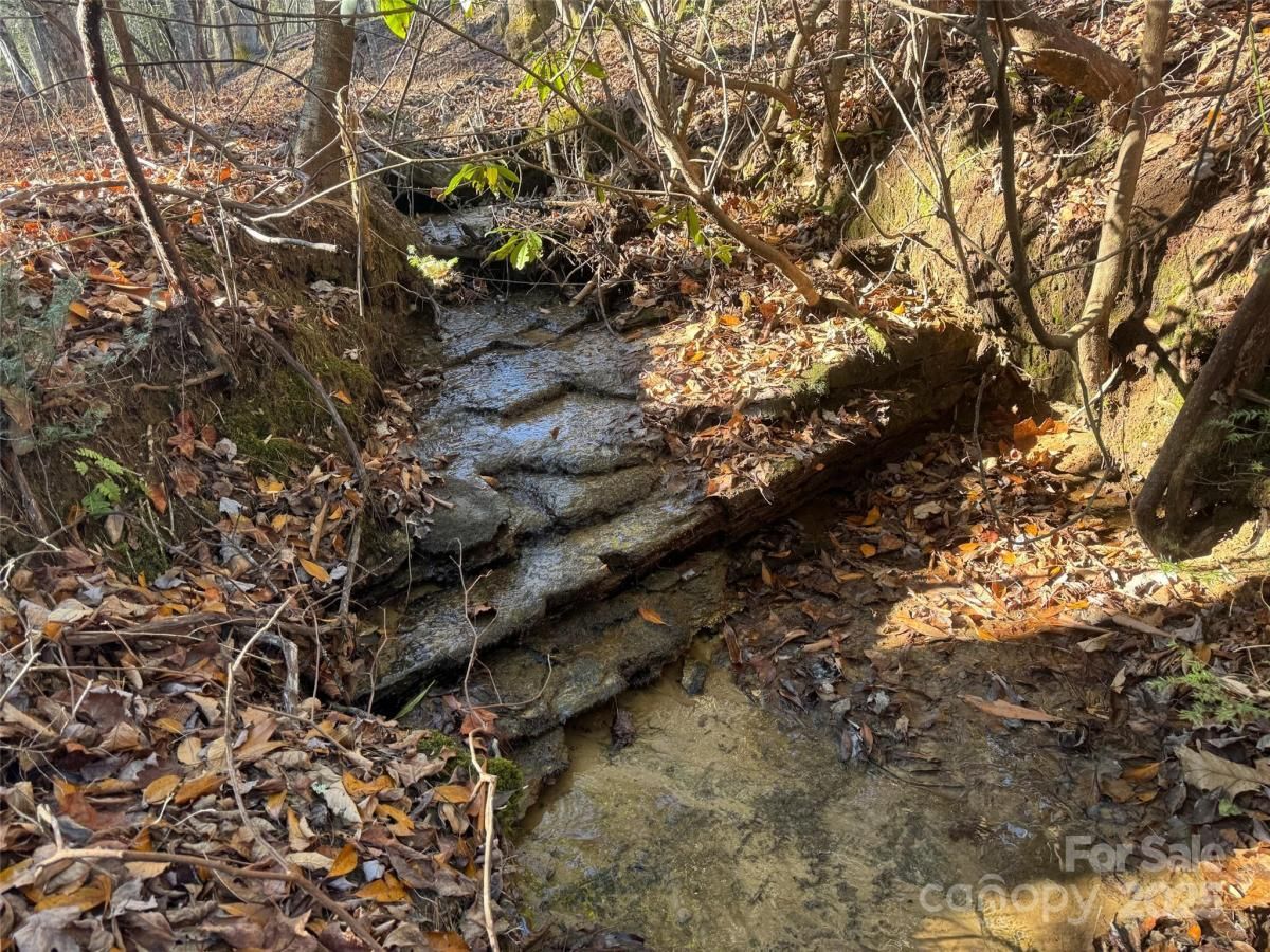 MLS #CAR4332013 image #0