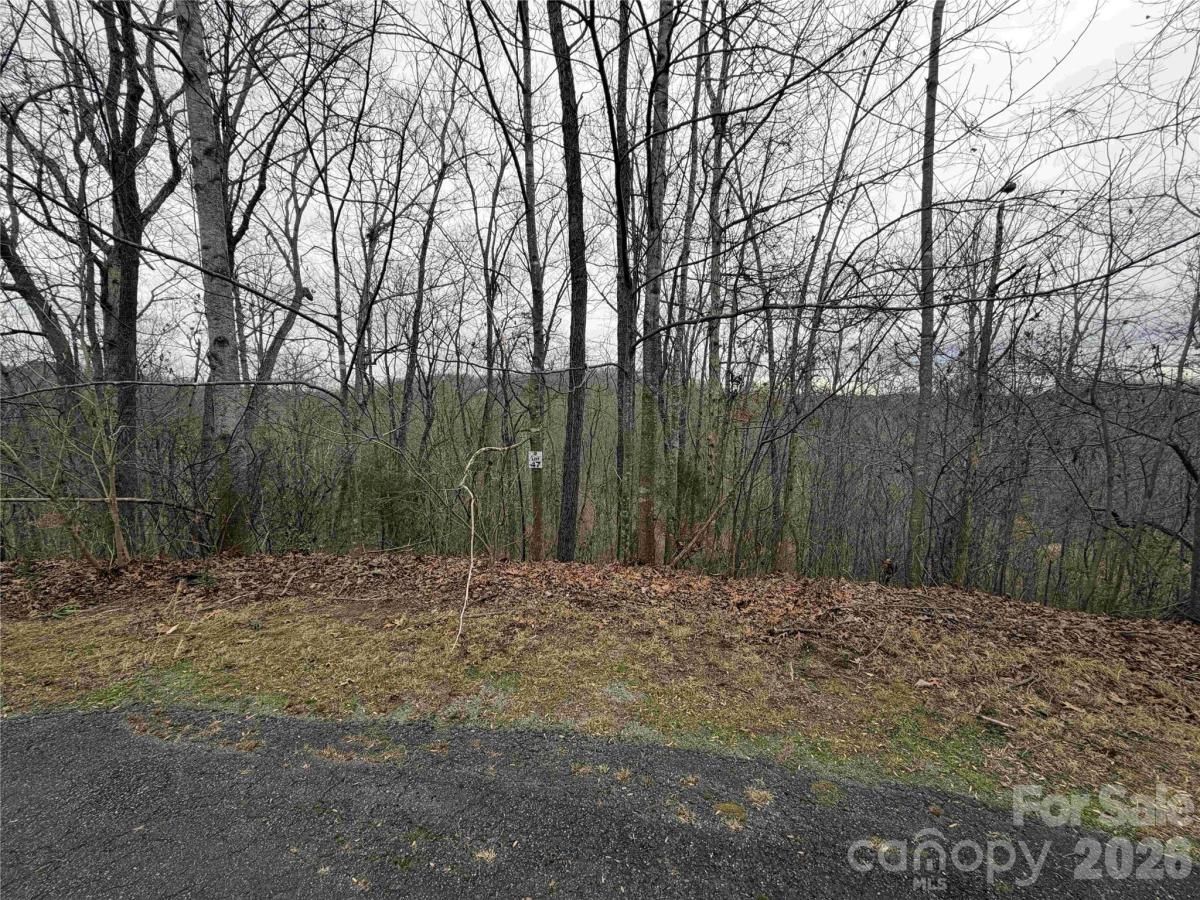 MLS #CAR4341218 image #0