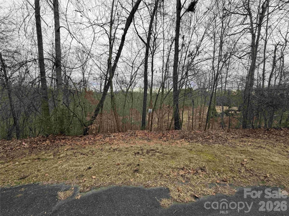 MLS #CAR4341245 image #0