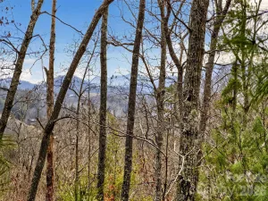 broker reciprocity