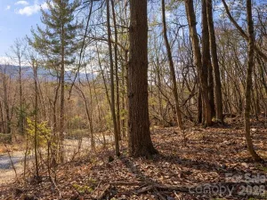 broker reciprocity