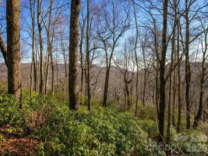 broker reciprocity