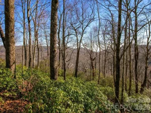 broker reciprocity