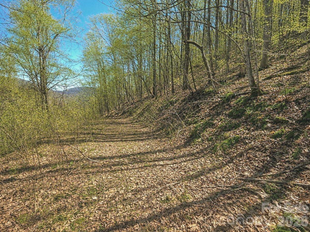 MLS #CAR4357466 image #0