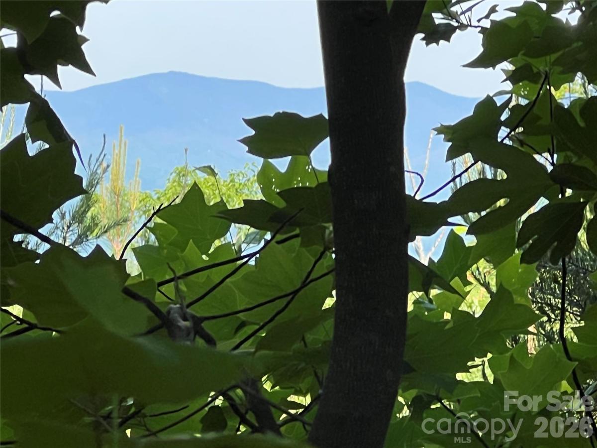 MLS #CAR4373331 image #0