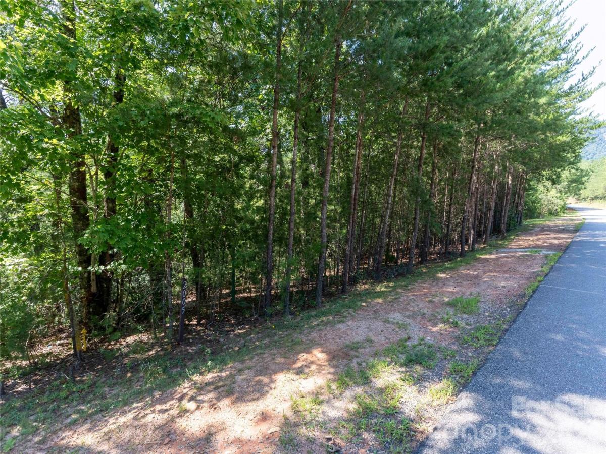 MLS #CAR4379674 image #0
