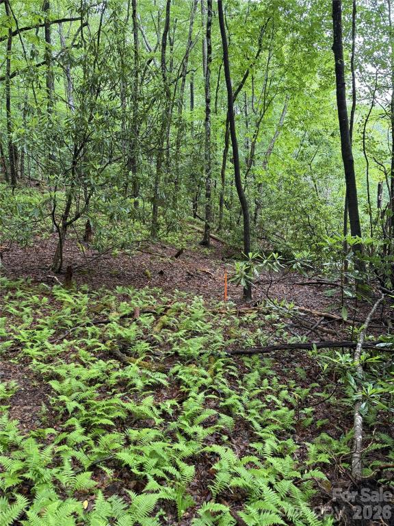 MLS #CAR4385738 image #0