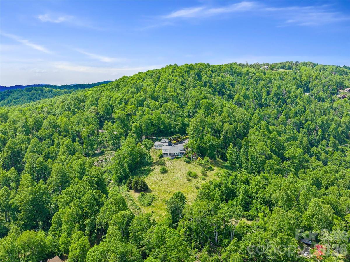 MLS #CAR4388369 image #0