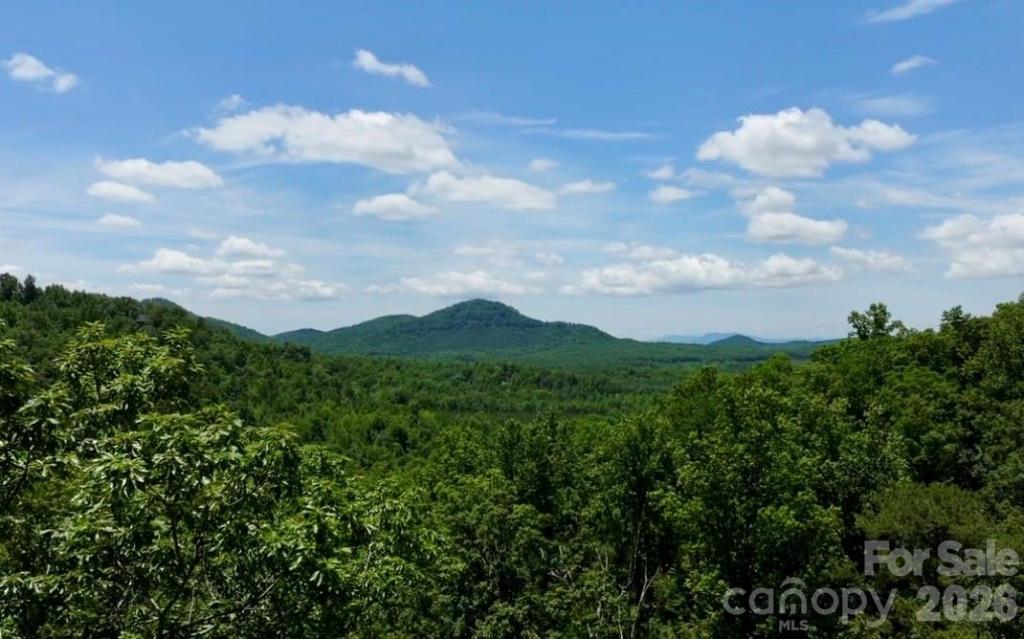MLS #CAR4391993 image #0