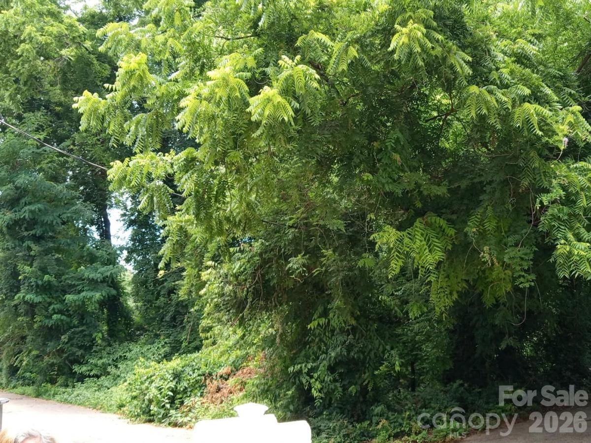 MLS #CAR4395429 image #0