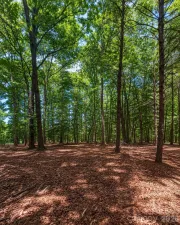 broker reciprocity