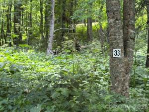 MLS #CAR4398317 image #0