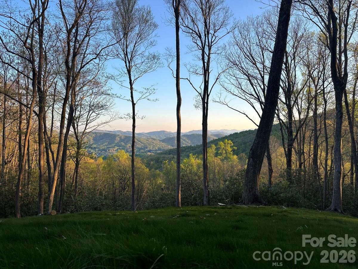 MLS #CAR4401443 image #0