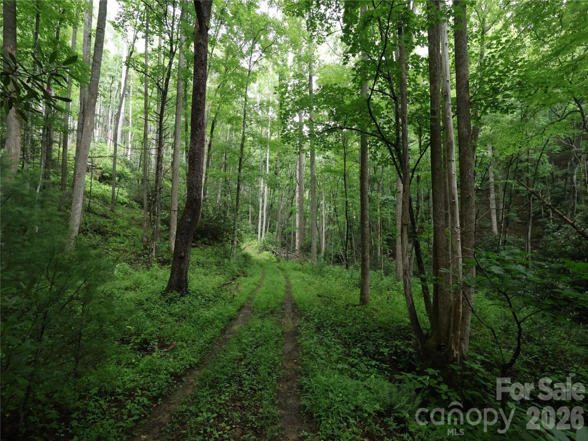 MLS #CAR4401676 image #0