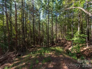 broker reciprocity
