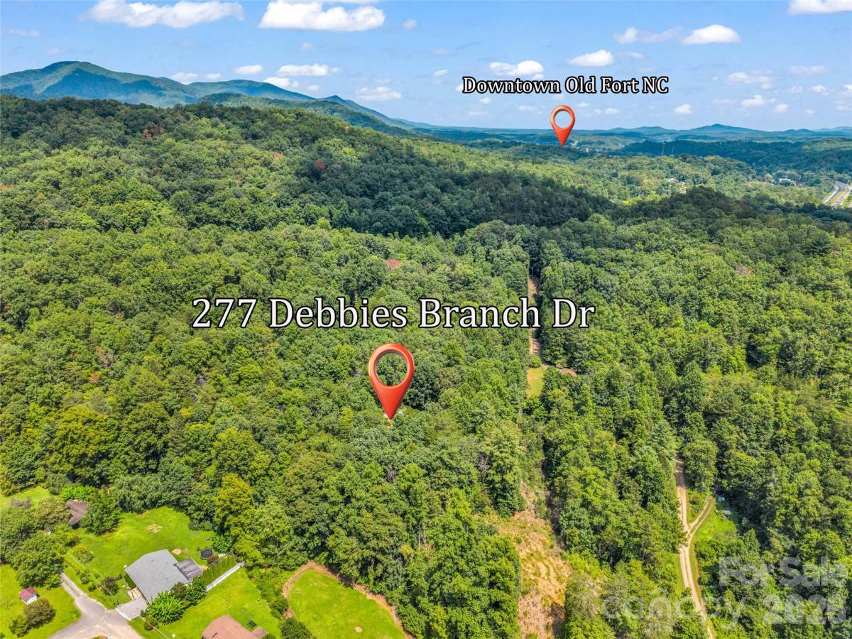 MLS #CAR4416254 image #0