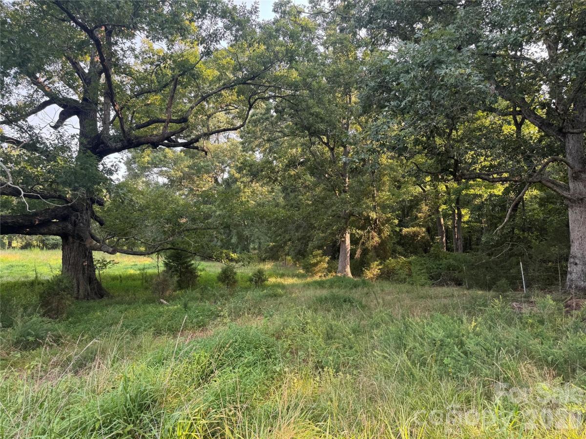 MLS #CAR4416361 image #0