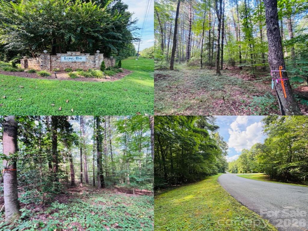 MLS #CAR4424456 image #0