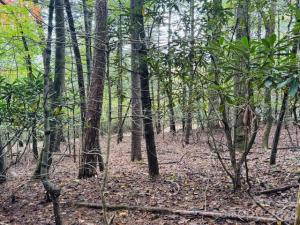 MLS #CAR4436197 image #0