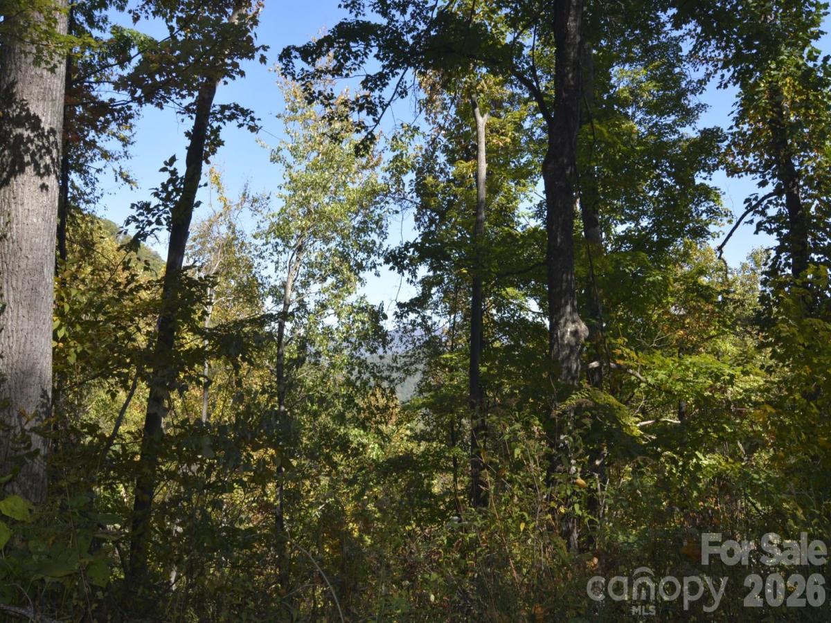 MLS #CAR4436630 image #0