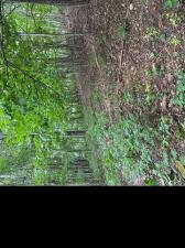 MLS #CAR4436957 image #0