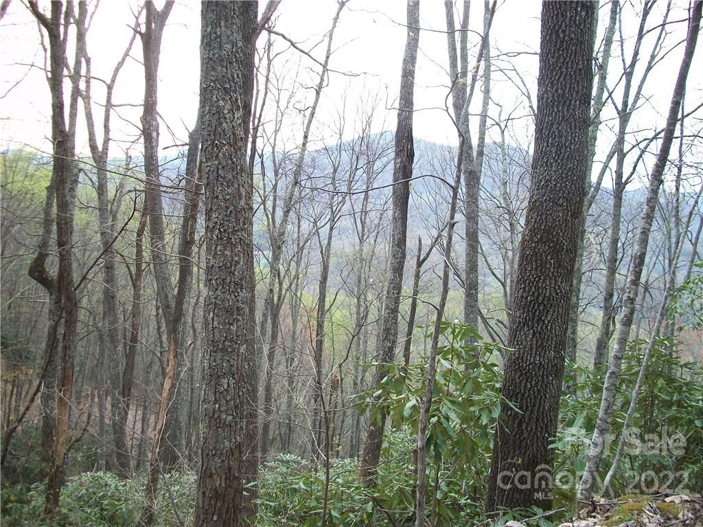 MLS #CARNCM585916 image #10