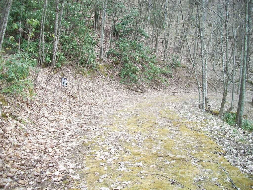 MLS #CARNCM585916 image #11