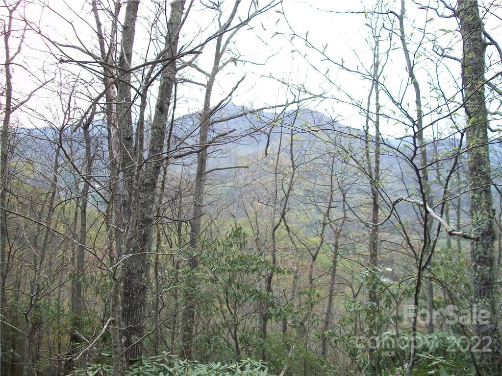 MLS #CARNCM585916 image #12