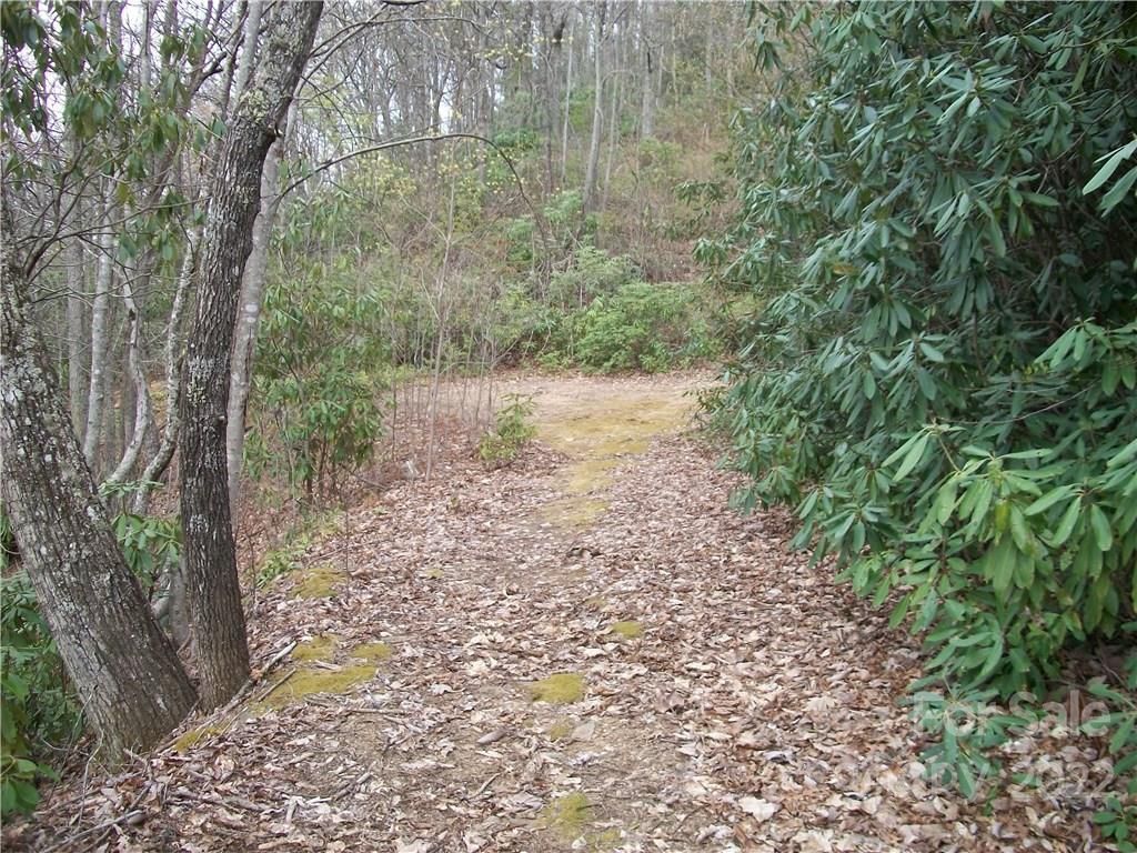 MLS #CARNCM585916 image #13