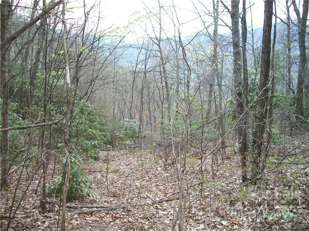 MLS #CARNCM585916 image #14