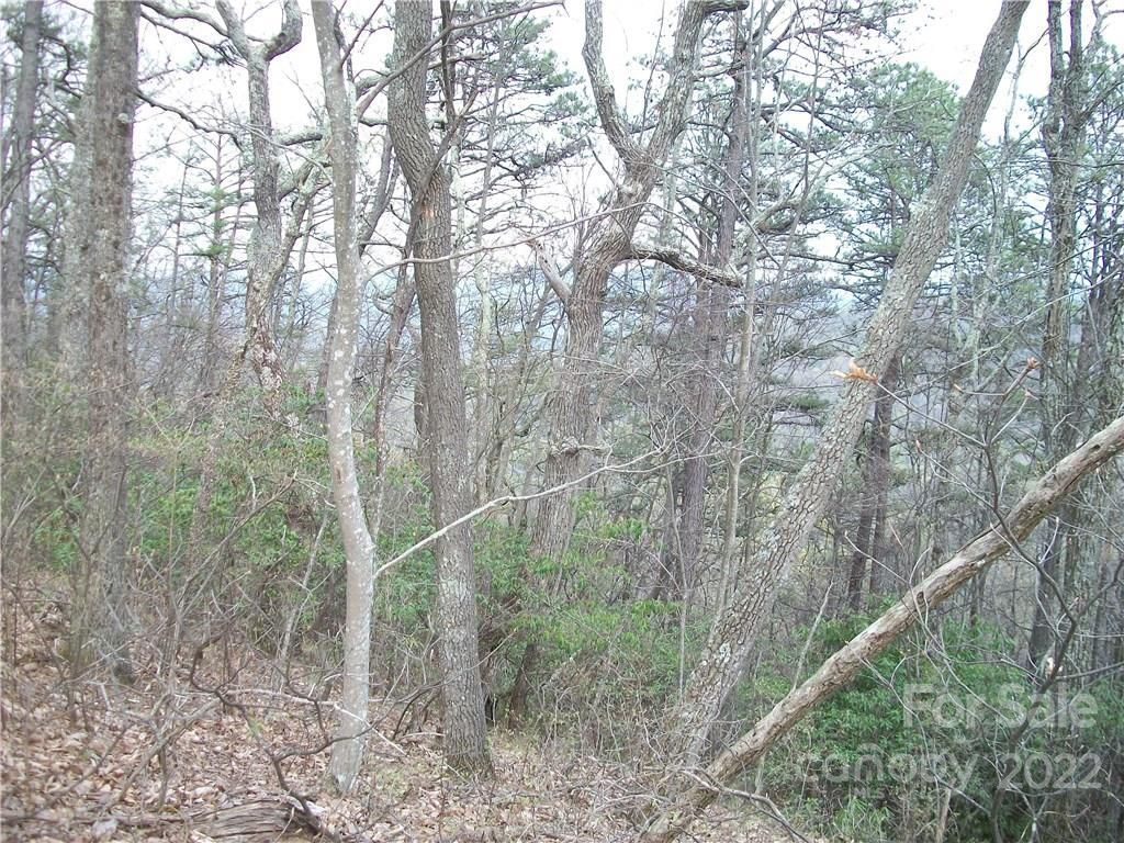 MLS #CARNCM585916 image #15