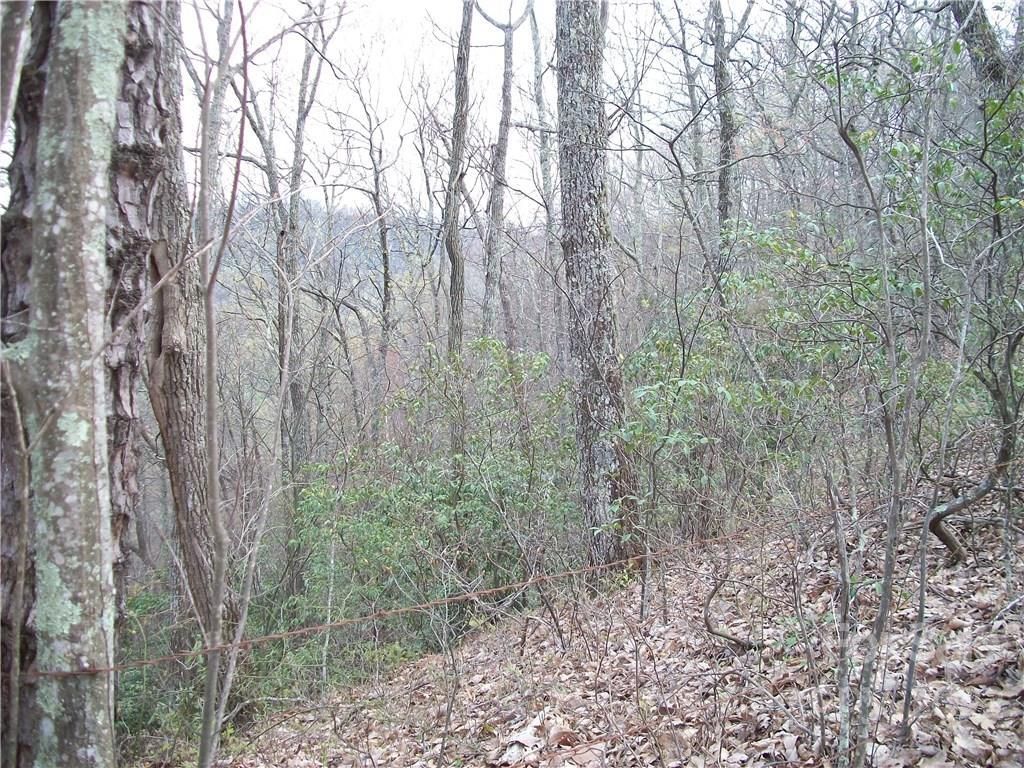 MLS #CARNCM585916 image #16