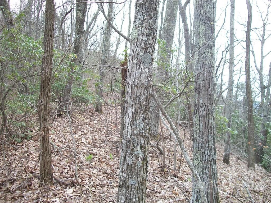 MLS #CARNCM585916 image #17