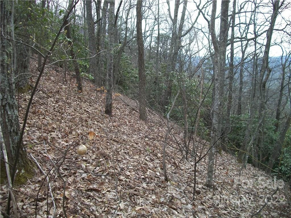 MLS #CARNCM585916 image #18