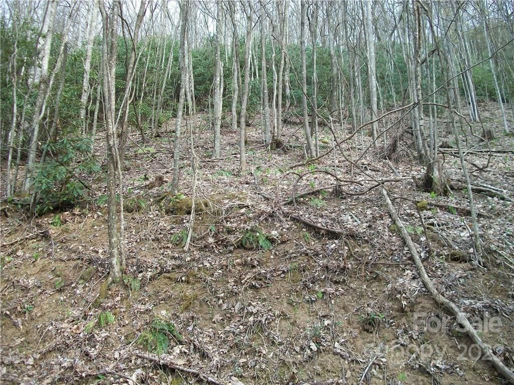 MLS #CARNCM585916 image #19