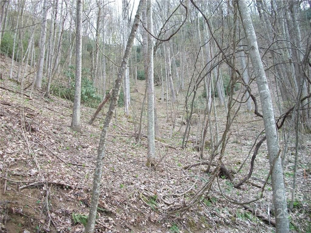 MLS #CARNCM585916 image #20