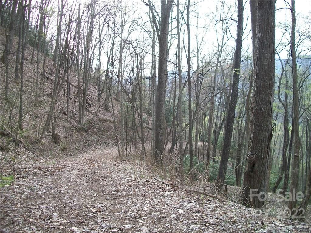 MLS #CARNCM585916 image #21