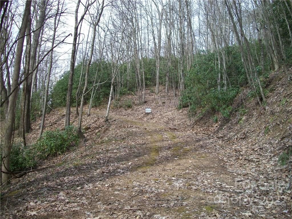 MLS #CARNCM585916 image #22