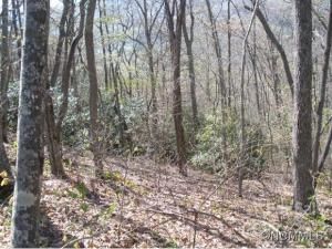 MLS #CARNCM585916 image #2